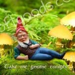 Fantasy - Gnome - Gnome Quotes Drink Holder
