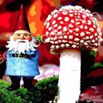 Fantasy - Gnome - Red Mushroom Drink Holder