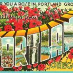 Postcard (Vintage) - Portland - For you a Rose Grows...