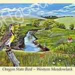 Postcard (Vintage) - Oregon - Oregon State Bird - Western meadowlark Drink Holder
