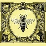 Wildlife - Bug - Square Bee Drink Holder
